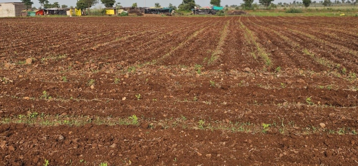 Talwadiya, Khandwa, Madhya Pradesh 450991, India