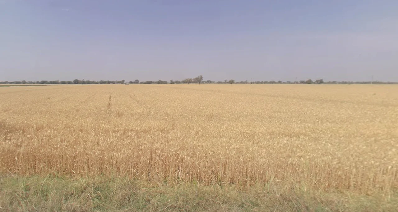 Dodamarg, Maharashtra, India preview 3