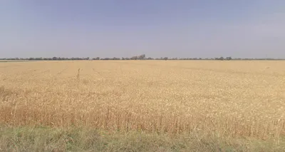 Dodamarg, Maharashtra, India preview 3