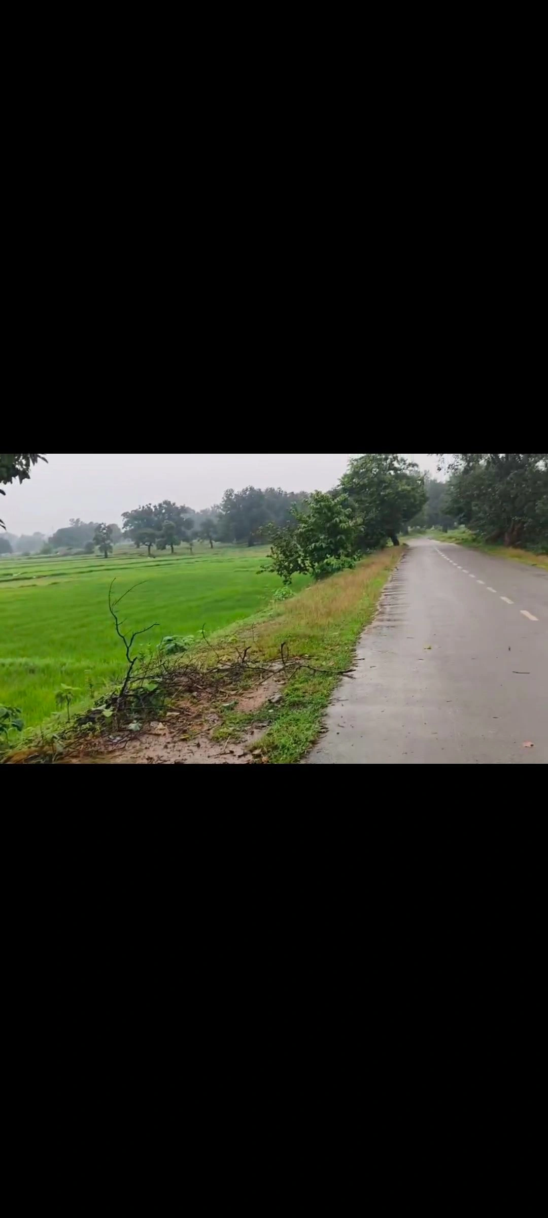 QC2P+M8C, Koraput, NH 326, Boipariguda, Odisha 764043, India - Photo 3