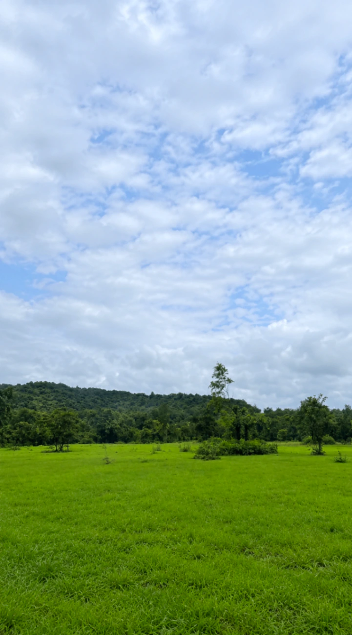 Vaibhavwadi, Sindhudurg, Maharashtra 416810, India - Photo 2