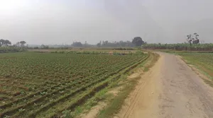 Lucknow - Sultanpur Rd, Bakkas, Uttar Pradesh, India preview 3