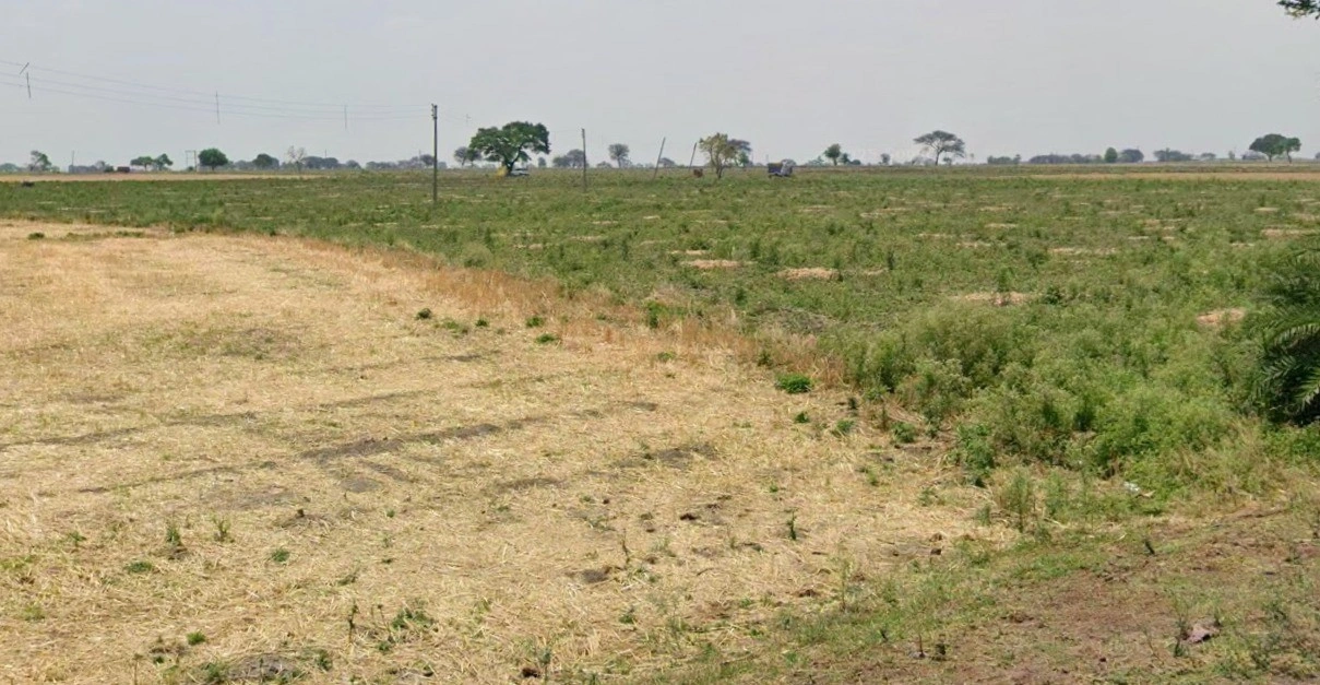 4QF4+W9V, Palkhedi, Madhya Pradesh 456006, India