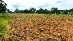 F929+M9 Kamakshihalli, Karnataka, India preview 2