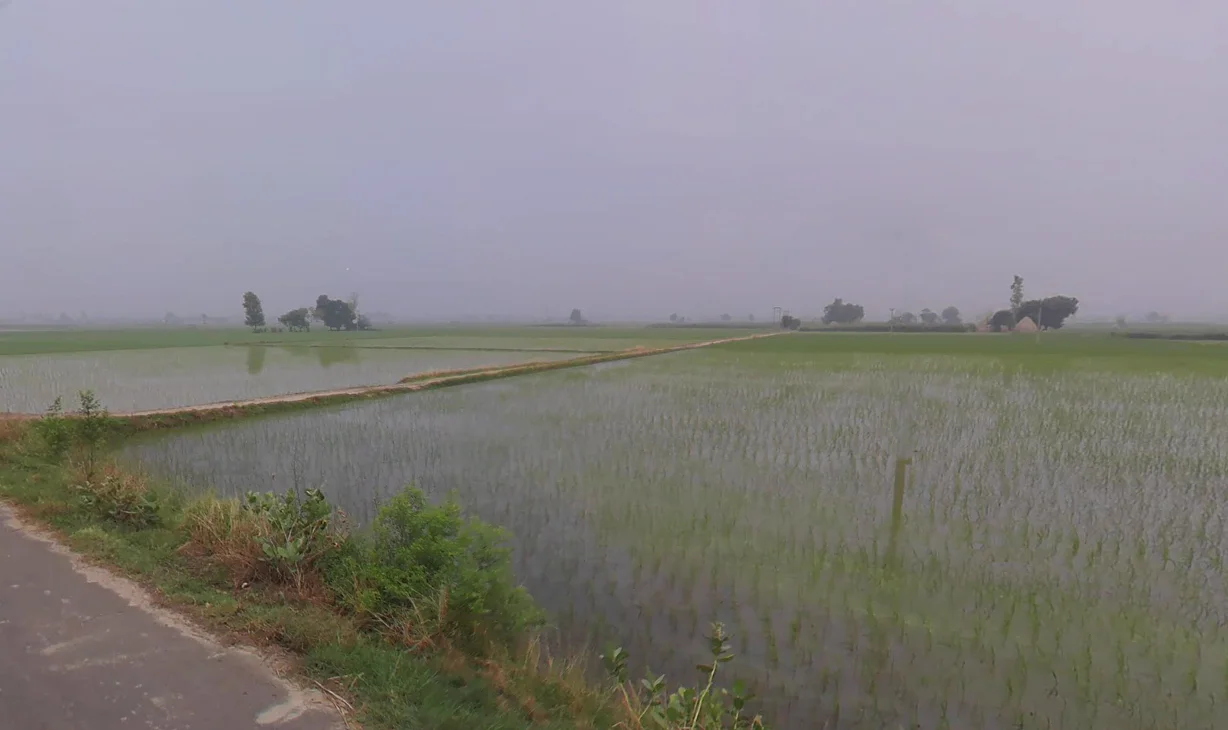 Chanchak, Haryana 136035, India preview 3