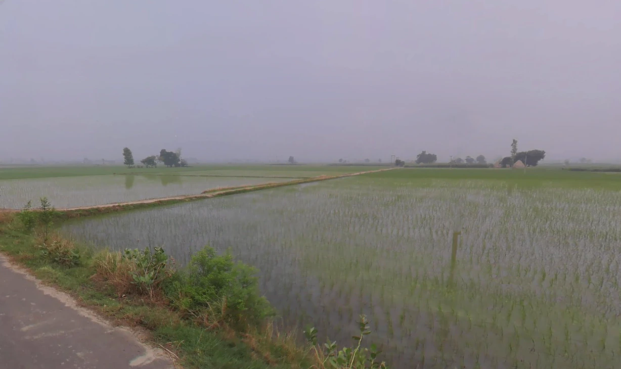 Chanchak, Haryana 136035, India