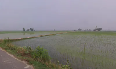 Chanchak, Haryana 136035, India preview 3
