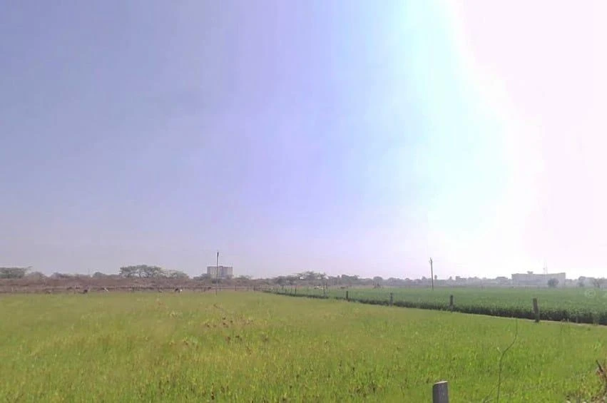 Chaksu, Rajasthan 303901, India