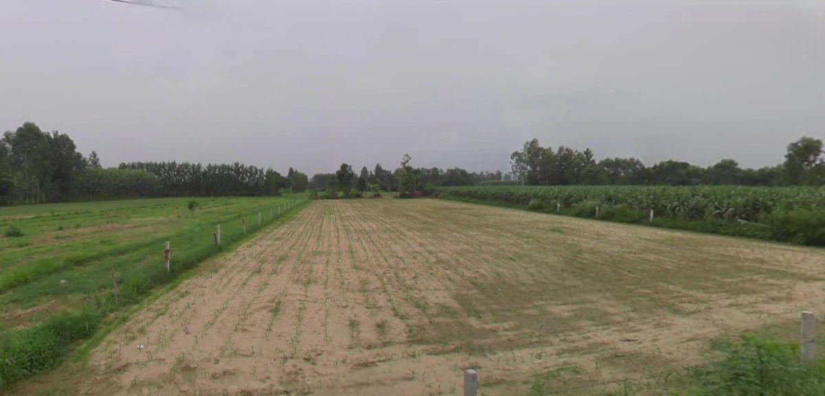 Mahendragarh, Haryana 123029, India