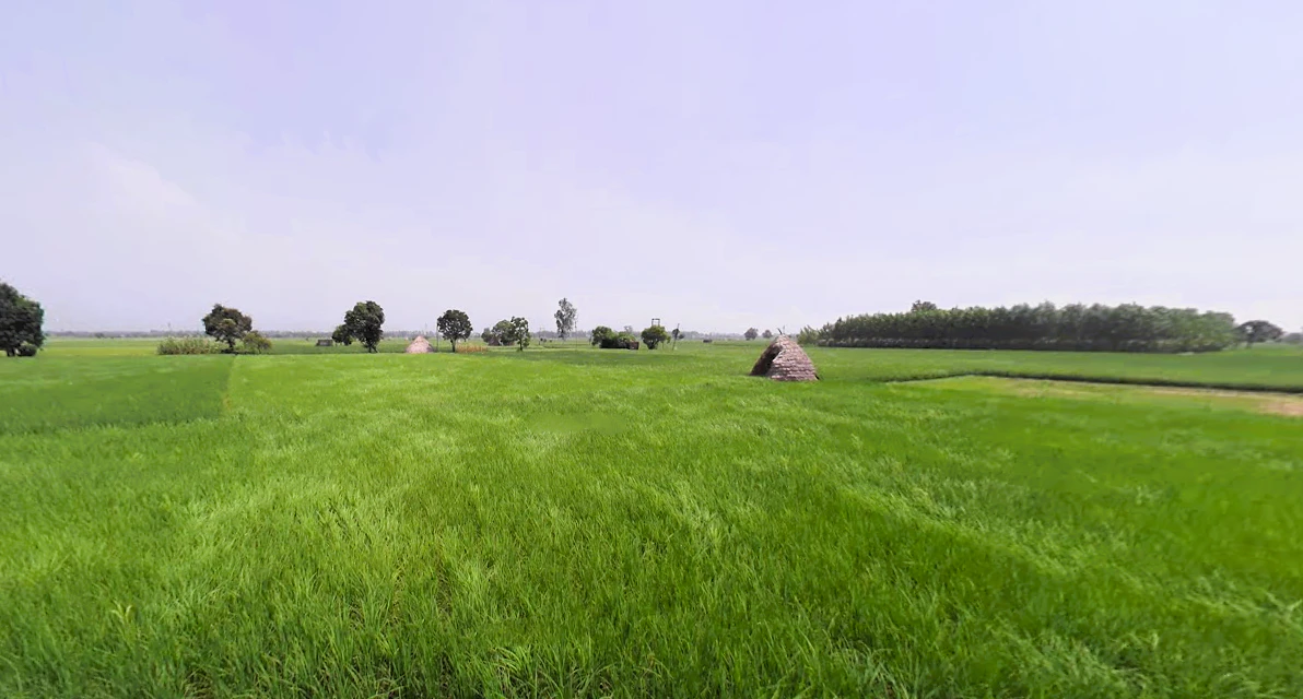 Raipur Rani, Haryana 134204, India