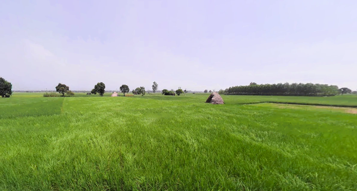 Raipur Rani, Haryana 134204, India