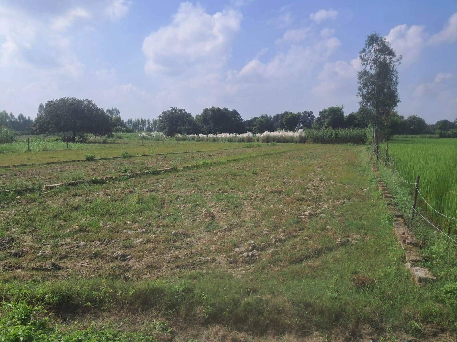 M5R8+H3M, Ayodhya, Itoura, Abanpur Saroha, Uttar Pradesh 224201, India