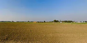 Banur, Punjab, India preview 3