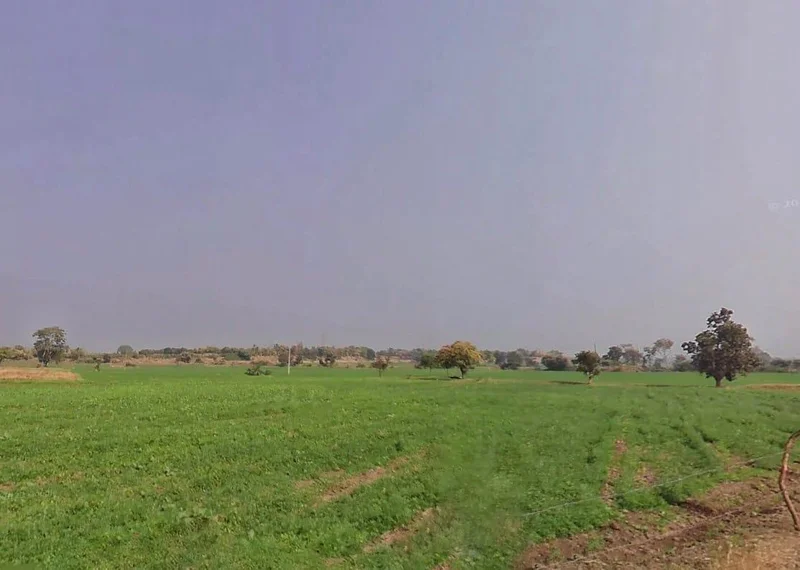 CQRQ+89Q, Pali, Rajasthan 301001, India preview 2