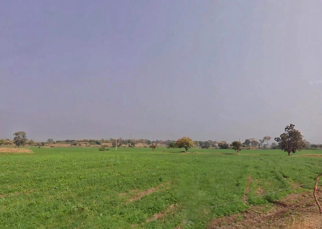 CQRQ+89Q, Pali, Rajasthan 301001, India