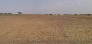 Mangod, Madhya Pradesh 454441, India preview 2