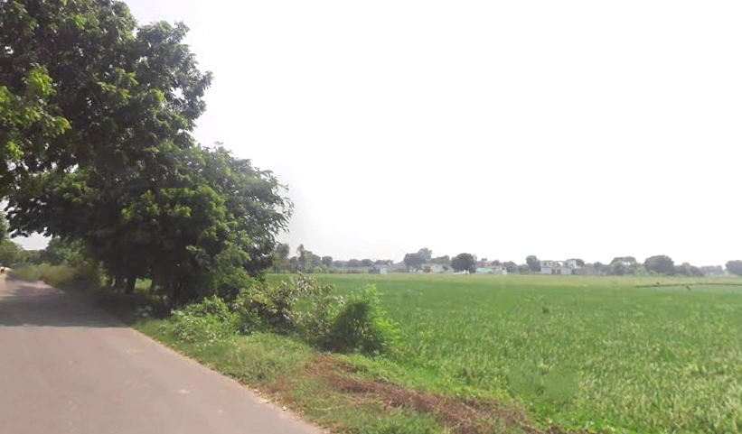 Shikarpur, Uttar Pradesh 203395, India