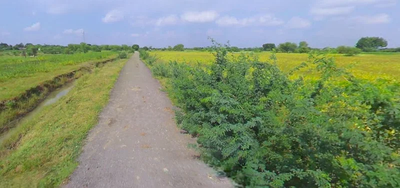 Bijnor, Uttar Pradesh 246701, India preview 2