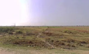 Chaksu, Rajasthan 303901, India preview 3
