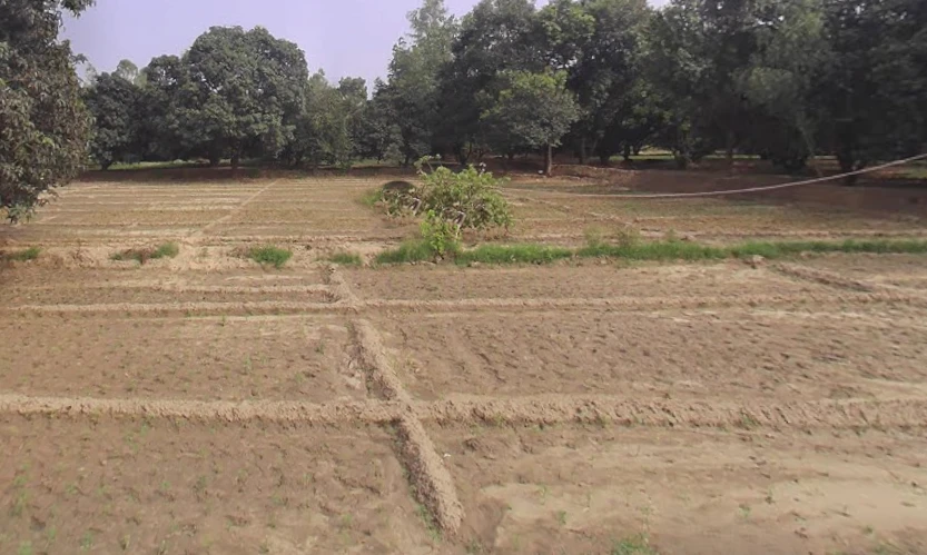 Jhadina, Uttar Pradesh 245205, India