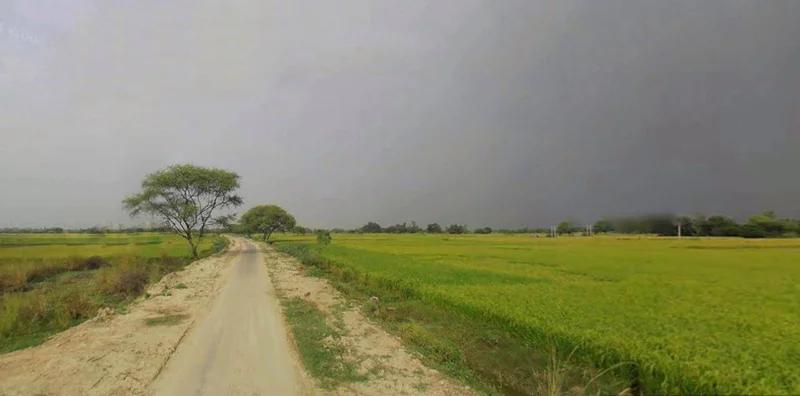 Barnagar, Madhya Pradesh 456771, India preview 2