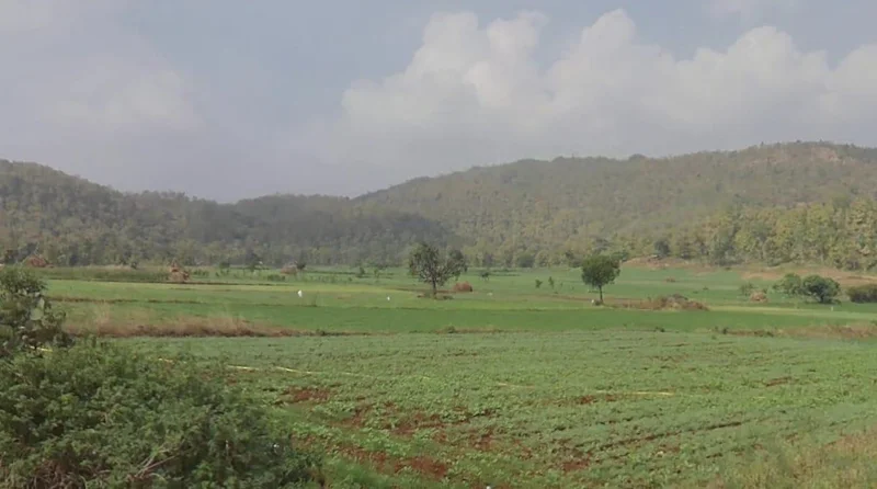 H6FG+FCP, Nayapura, Madhya Pradesh, India preview 3