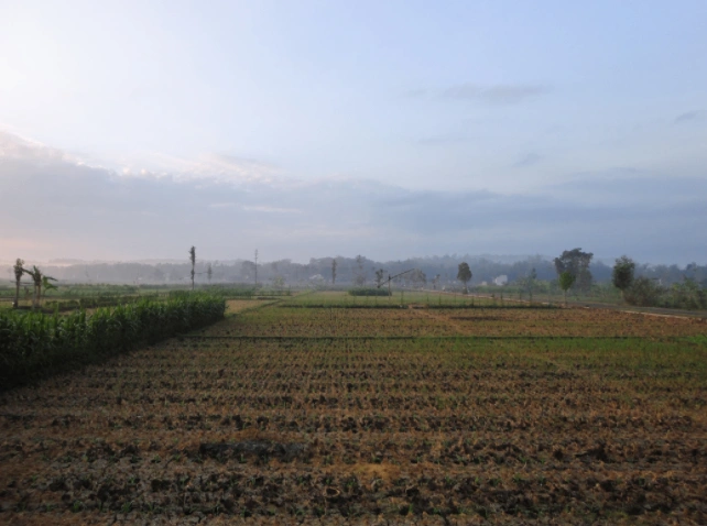 Berla, Rajasthan 321633, India