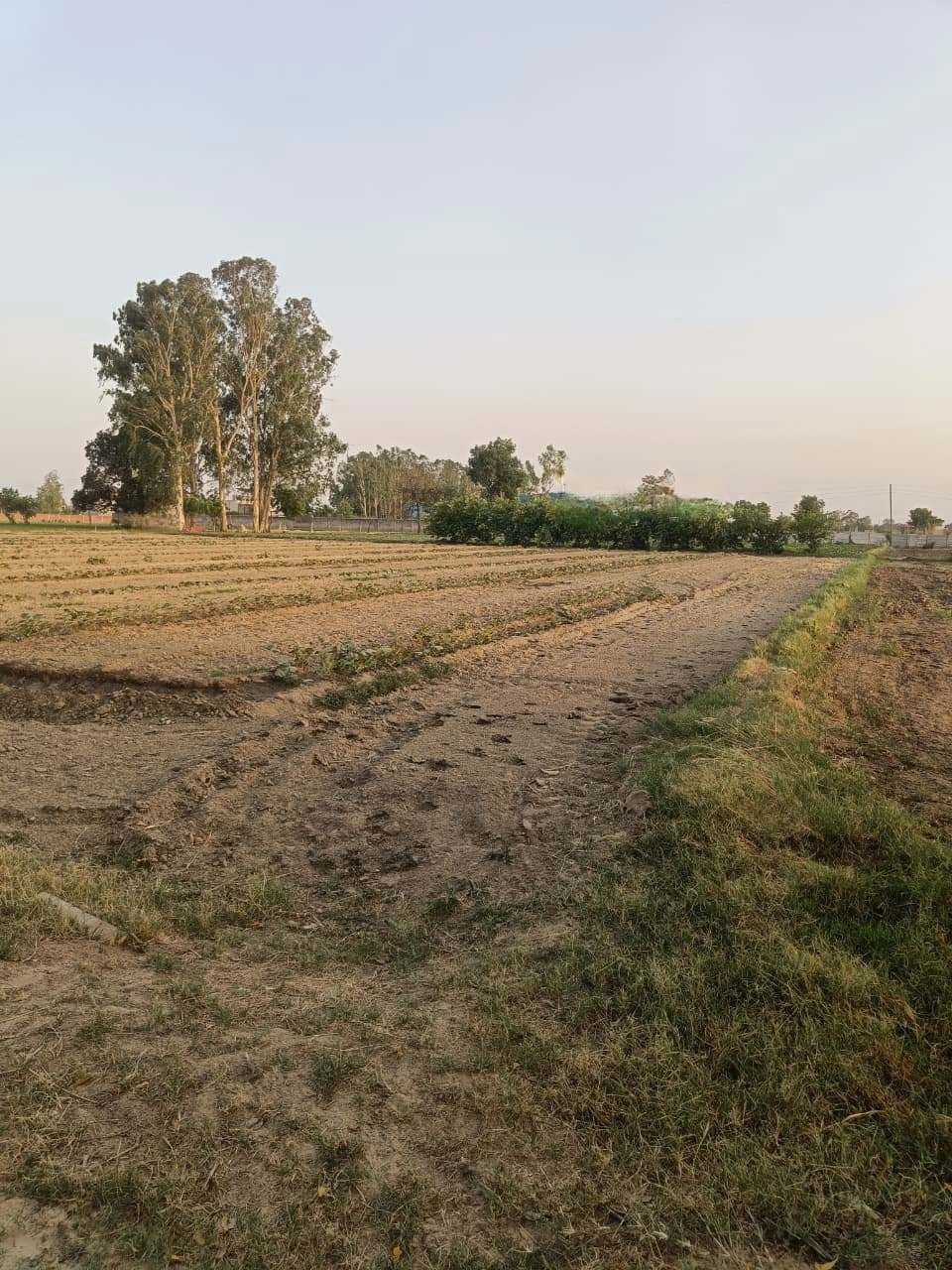 Chandauri, Uttar Pradesh, India