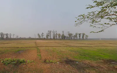 Kranti, West Bengal 735218, India preview 2