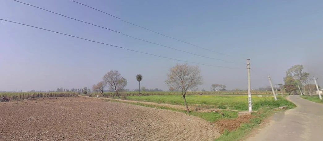 Mawana, Uttar Pradesh, India