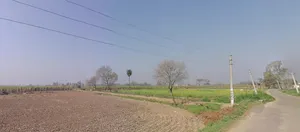 Mawana, Uttar Pradesh, India preview 3