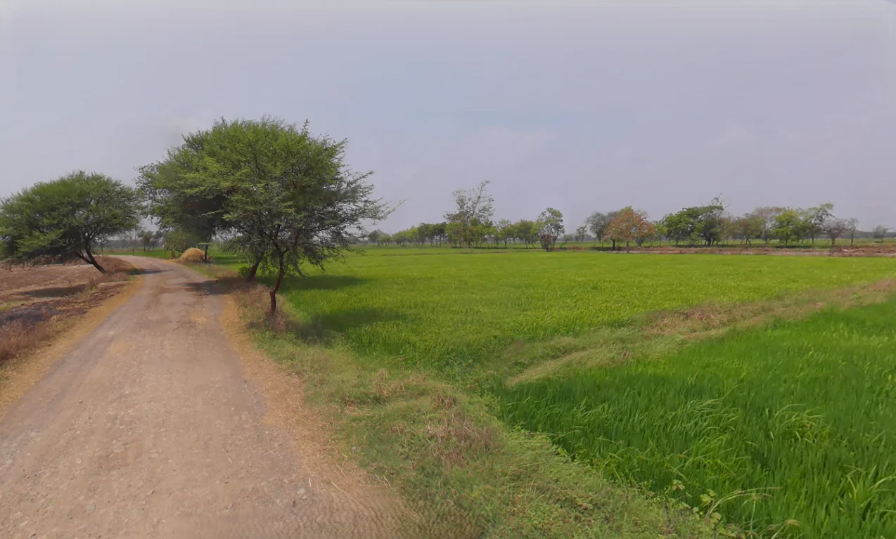 Dewada, Chhattisgarh 491443, India preview 2