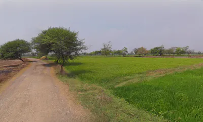 Dewada, Chhattisgarh 491443, India preview 2