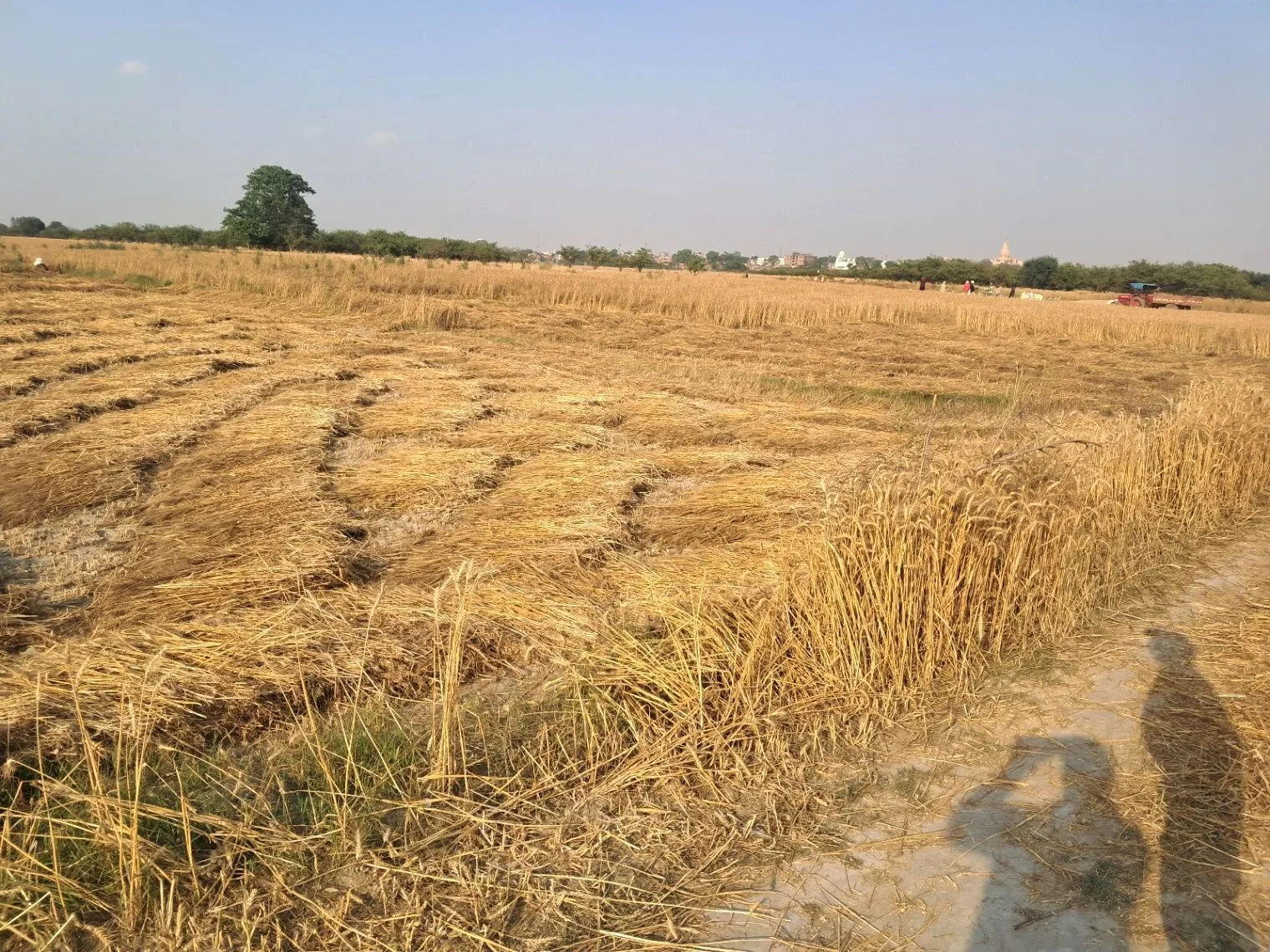 Q5VH+JG Manjha Kala, Uttar Pradesh, India