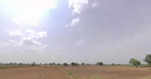 F9R9+XFP, Enabling Township, IGSTPP, Haryana 124141, India preview 3