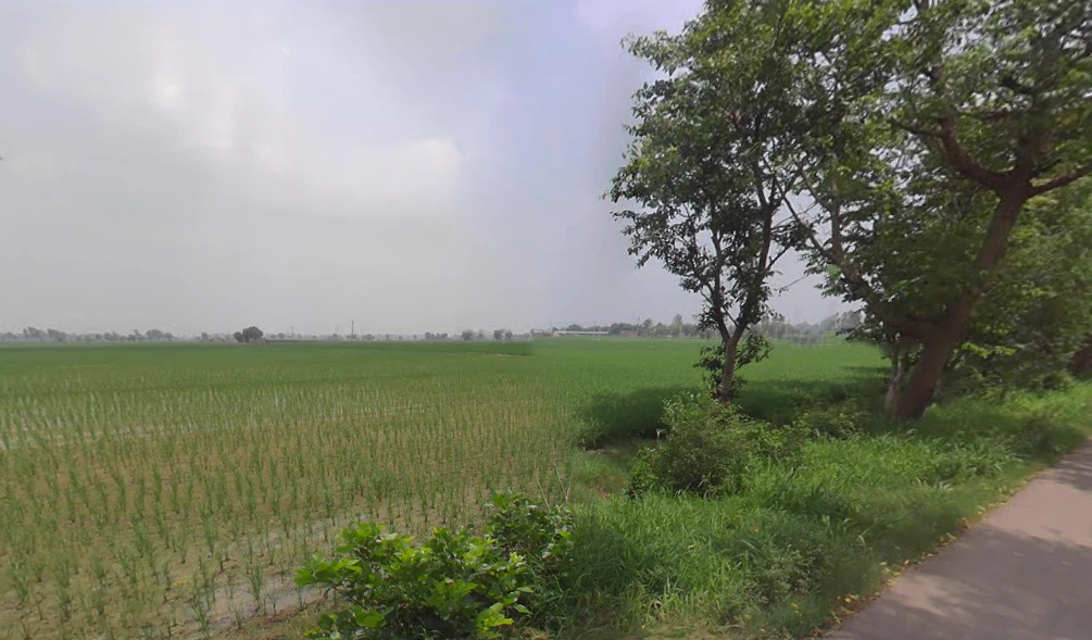 Bhodia Khera, Haryana 125120, India