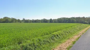 Rania, Uttar Pradesh, India preview 2