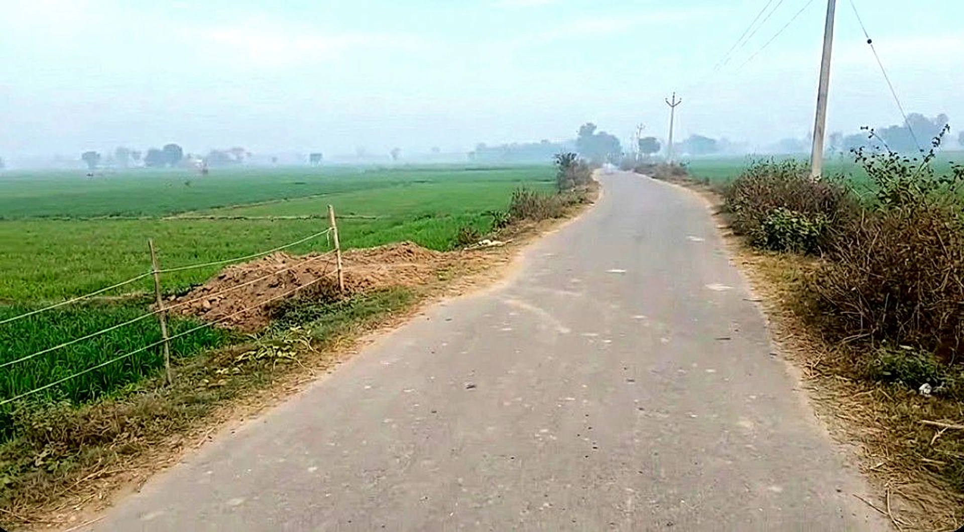 Dadri, Uttar Pradesh, India