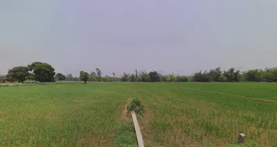 Chhutmalpur, Uttar Pradesh 247662, India preview 2