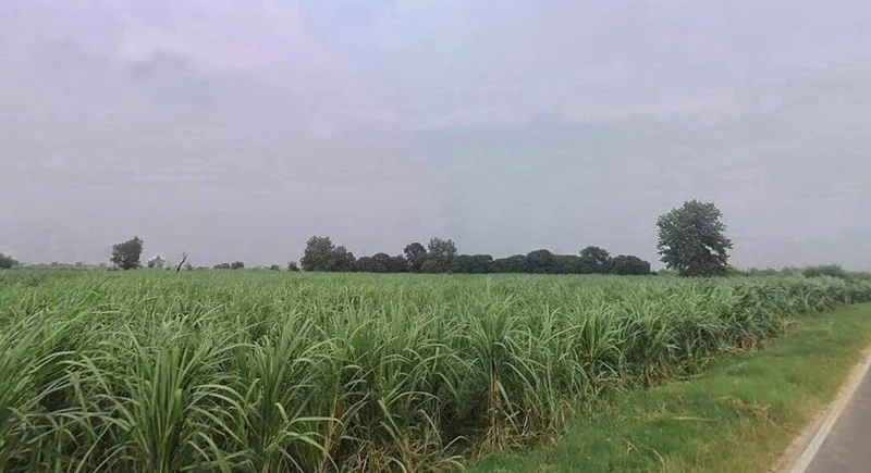 QGC4+PXP, Muradnagar, Uttar Pradesh 201206, India preview 2