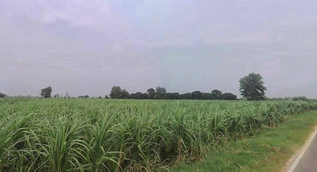QGC4+PXP, Muradnagar, Uttar Pradesh 201206, India