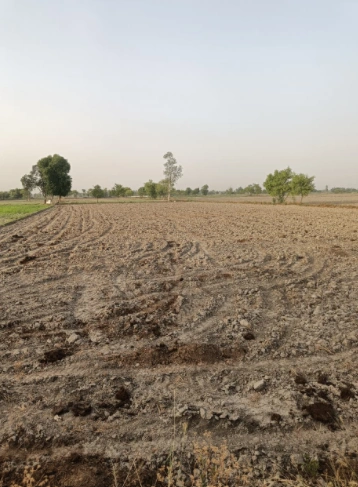 Nurpur Bedi, Punjab 140117, India