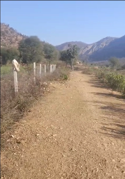 Kali Khol, Rajasthan 301001, India