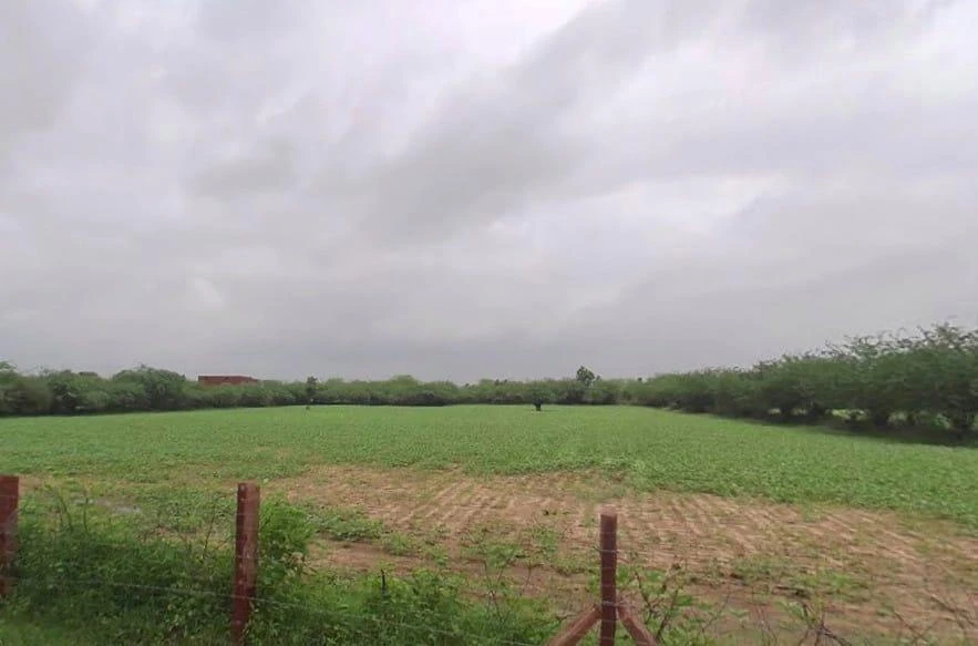 Keerwa, Rajasthan 306422, India