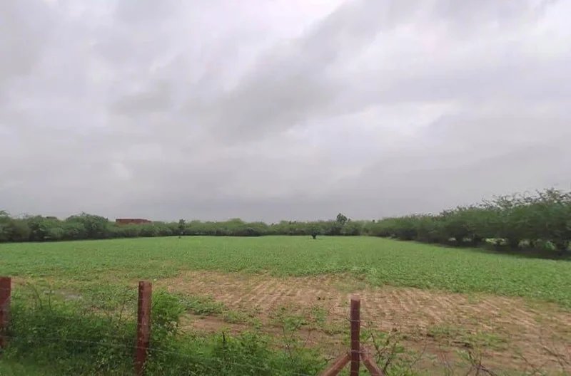 Keerwa, Rajasthan 306422, India preview 2