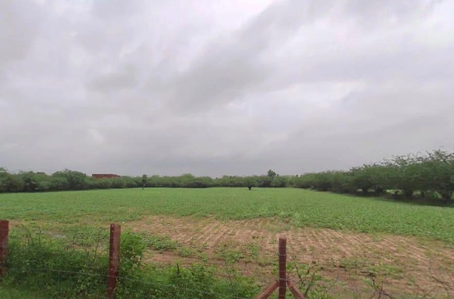 Keerwa, Rajasthan 306422, India