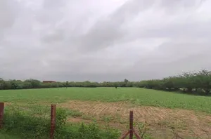 Keerwa, Rajasthan 306422, India preview 2