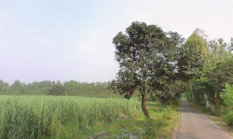 Behat, Uttar Pradesh 247121, India