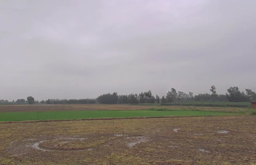 Nanauta Dehat, Uttar Pradesh 247452, India