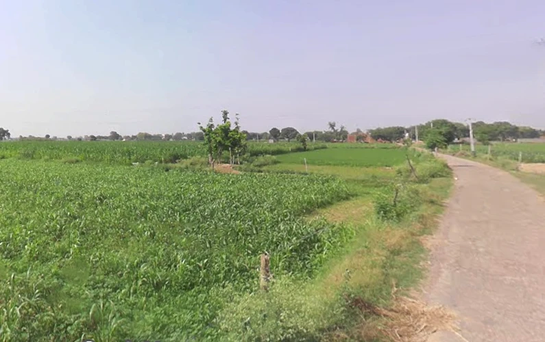 Shikarpur, Uttar Pradesh 203395, India